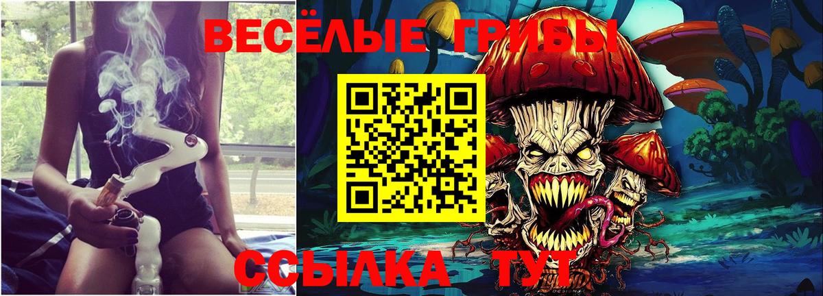 Псилоцибиновые грибы Cubensis Краснознаменск
